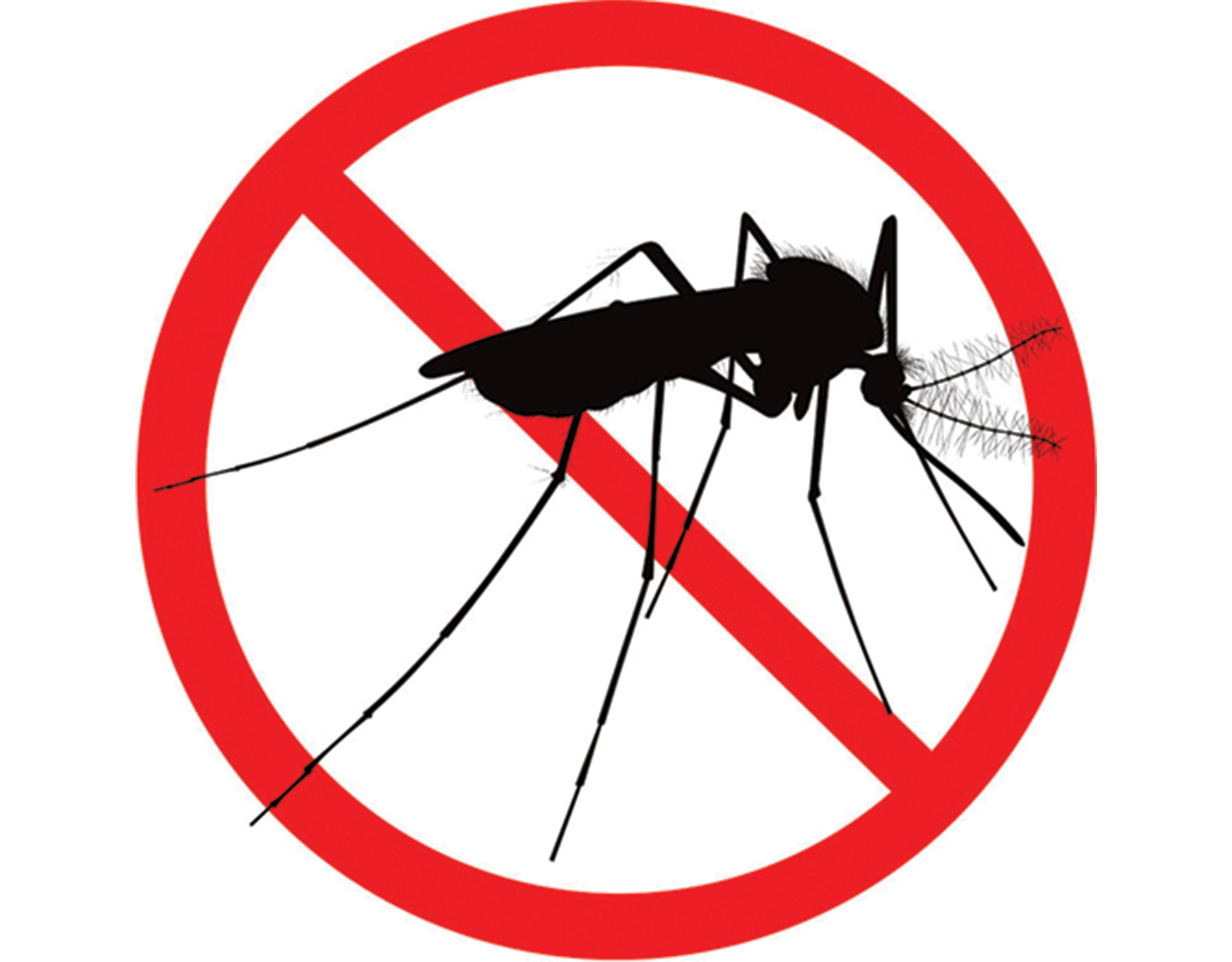 Mosquito control